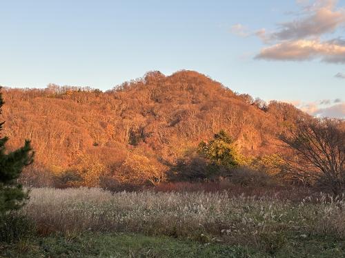 photo_29