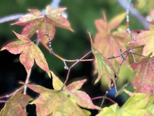 photo_33