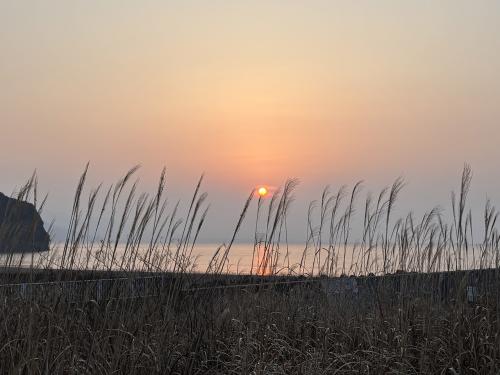 photo_34