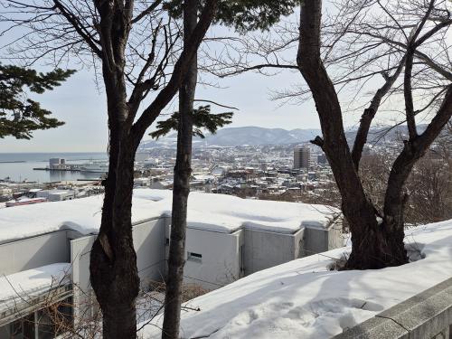 Views from Suitengu Shrine